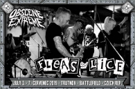 GLOBAL PUNK ARMAGEDDON FROM THE LAND OF TULIPS!!! FLEAS AND LICE!!!