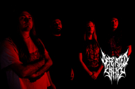 DEFEATED SANITY – A MADMAN'S DIARY WILL BE REVEALED AGAIN IN TRUTNOV!!!