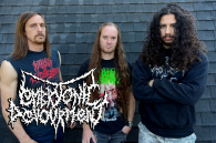 EMBRYONIC DEVOURMENT – TECHNICAL REVENGE FOR THE UNINITIATED!!!