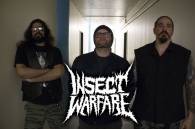 Our most wildest dreams have been heard and the grindcore machine from Texas is back!!! INSECT WARFARE!!! 