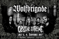  Swedish pack of wolves - WOLFBRIGADE!!!